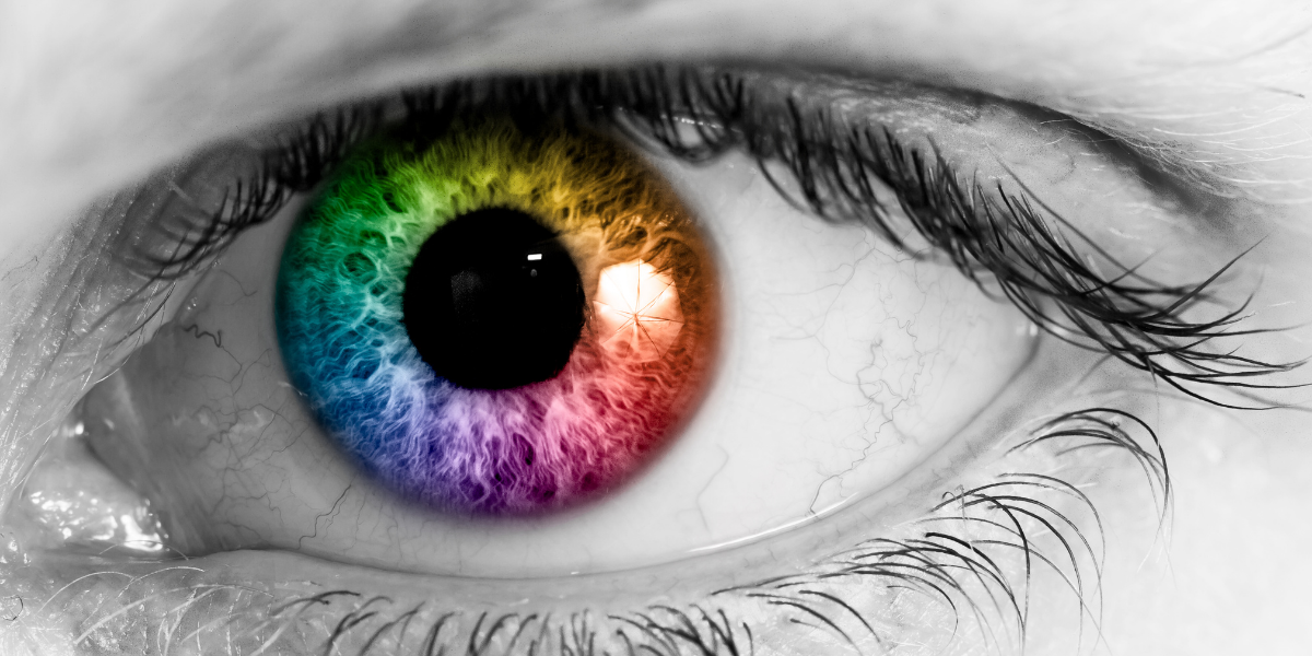 Imagen Post cómo vemos los colores
